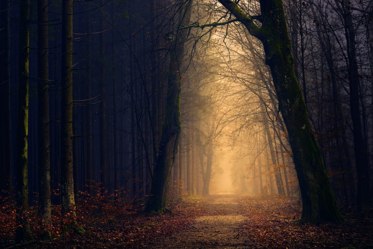To Meet Your Soul